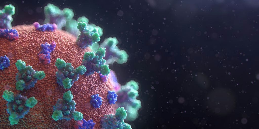 virus by @fusion_medical_animation on Unsplash